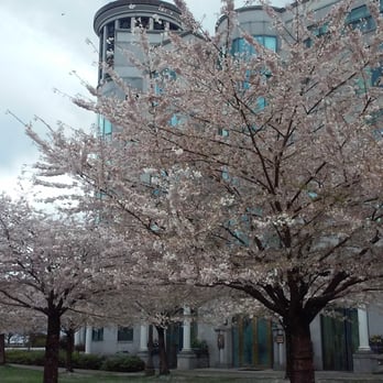 Stanley Park - Near entrance - Parks Near Me - Vancouver, British Columbia Stanley Park - Near entrance - Parks Near Me - Vancouver, British Columbia