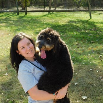 Rover Resort - Pet Groomers Near Me - Mckinney, Texas