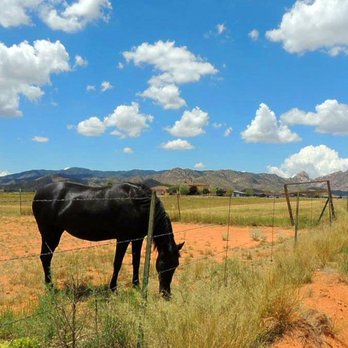 Tombstone Real Estate - Real Estate Services Near Me - Tombstone, Arizona