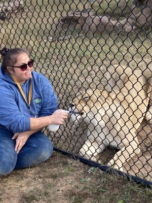 Alabama Gulf Coast Zoo by null
