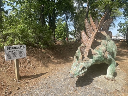 Dinosaur Land by null