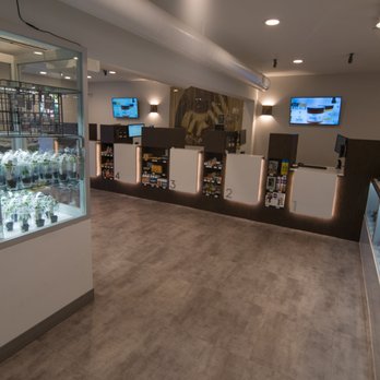 The Green Solution - Edgewater - Interior Storefront - Cannabis Dispensaries Near Me - Edgewater, Colorado The Green Solution - Edgewater - Interior Storefront - Cannabis Dispensaries Near Me - Edgewater, Colorado