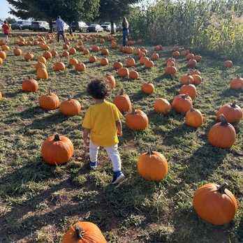 Dolan Creek Farm - Pumpkin Patches Near Me - Boring, Oregon Dolan Creek Farm - Pumpkin Patches Near Me - Boring, Oregon