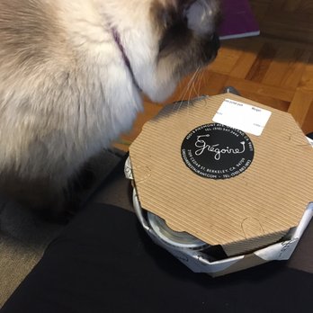 Grégoire - So many delicious smells kitty wanted some too - pork salad - French Near Me - Berkeley, California