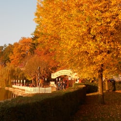 Pavillon