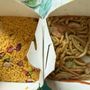 Great Wall