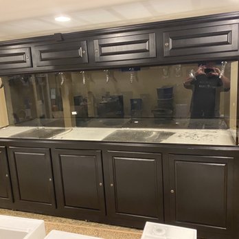 Something Fishy - 10 foot aquarium. 440 gallons. - Aquarium Services Near Me