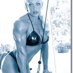 Metroflex Gym