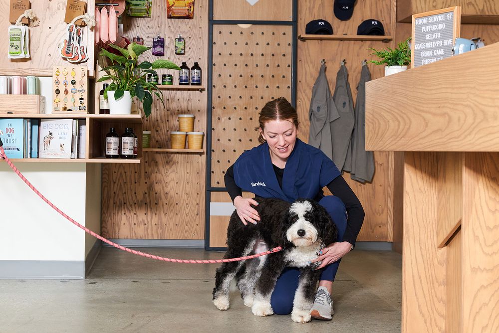 YARDSTICK DOG HOTEL BERRY HILL Updated August 2024 27 Photos