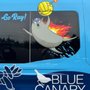 Photo of Blue Canary
