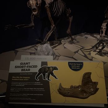 Indiana State Museum - Museums Near Me - Indianapolis, Indiana Indiana State Museum - Museums Near Me - Indianapolis, Indiana