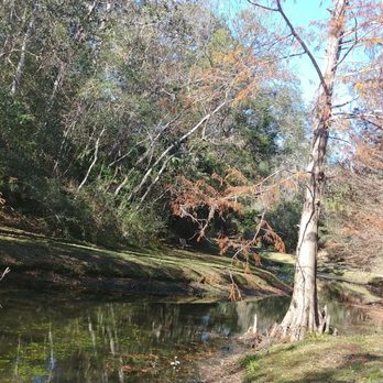 Ravine Gardens State Park - Parks Near Me - Palatka, Florida