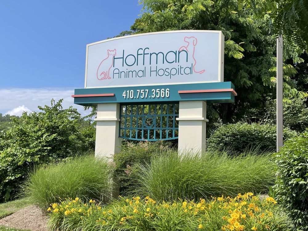 HOFFMAN ANIMAL HOSPITAL 12 Photos & 12 Reviews 15 Old Mill Bottom