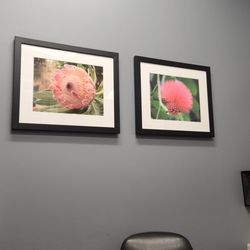 Sharp Rees-Stealy Sorrento Mesa Urgent Care - Nice photos in the exam room