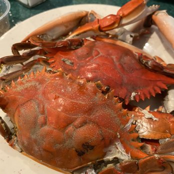 Feast Buffet - Steam crab, not salty. - Chinese Near Me - Katy, Texas Feast Buffet - Steam crab, not salty. - Chinese Near Me - Katy, Texas