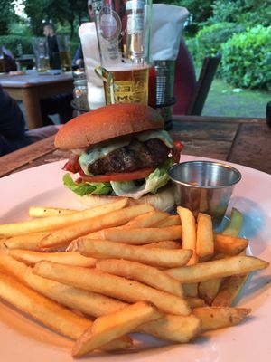 The Woodstock by null