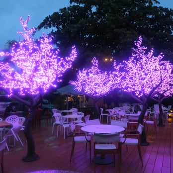 La Vie Parisienne - Lovely garden at night - Bakeries Near Me - Cebu City, CEB