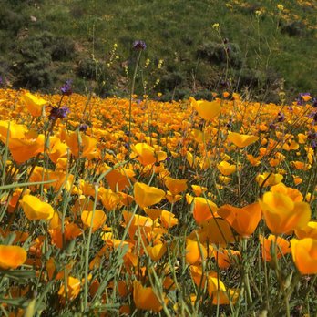 Walker Canyon Ecological Reserve - Wildlife Hunting Ranges Near Me