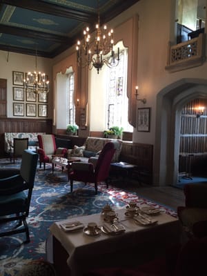 Ellenborough Park by null