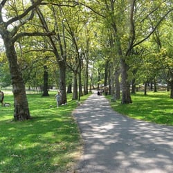 Ivy Hill Park
