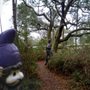 Knights In The Woods