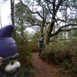 Knights In The Woods