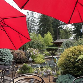 Umi Cafe - Outdoor & pond - Bubble Tea Near Me - Issaquah, Washington