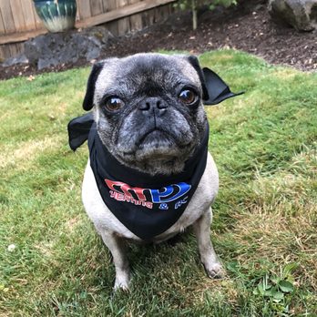 MP Heating & Air Conditioning - Zelda - Heating & Air Conditioning/HVAC Near Me - Milwaukie, Oregon MP Heating & Air Conditioning - Zelda - Heating & Air Conditioning/HVAC Near Me - Milwaukie, Oregon