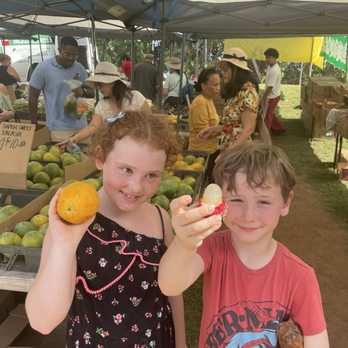 Maui Swap Meet - If you are looking for fruit--go down the center walkway to the back of the swap - Farmers Market Near Me - Kahului, Hawaii