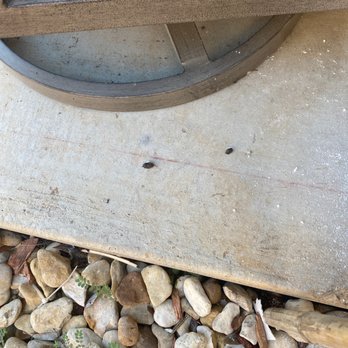 M&M Pest and Wildlife - Pest Control Near Me - Plano, Texas M&M Pest and Wildlife - Pest Control Near Me - Plano, Texas
