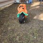 Photo of The Mini Experience Petting Zoo
