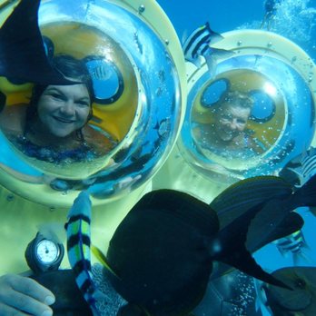 Bob's Hawaii Adventure - Tours Near Me - Honolulu, Hawaii