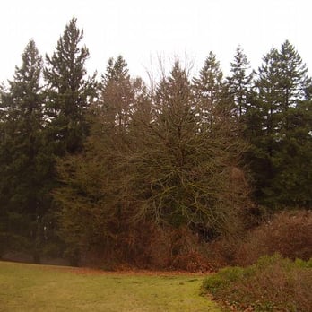 Mount Tabor Park - Parks Near Me - Portland, Oregon Mount Tabor Park - Parks Near Me - Portland, Oregon