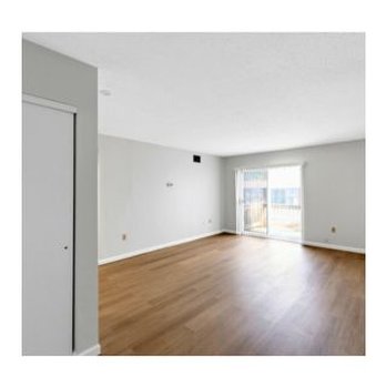 Mountain Painting - We paint rental properties. - Painters Near Me Mountain Painting - We paint rental properties. - Painters Near Me
