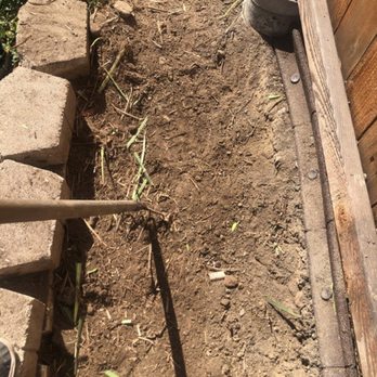 Jose Tree Service - Cleaning - Tree Services Near Me Jose Tree Service - Cleaning - Tree Services Near Me