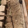 Photo of Jose Tree Service