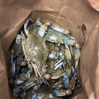 Nick's Farm & Crab Market - Large Male Blue Crabs (6"6") - Seafood Markets Near Me - Baltimore, Maryland Nick's Farm & Crab Market - Large Male Blue Crabs (6"6") - Seafood Markets Near Me - Baltimore, Maryland