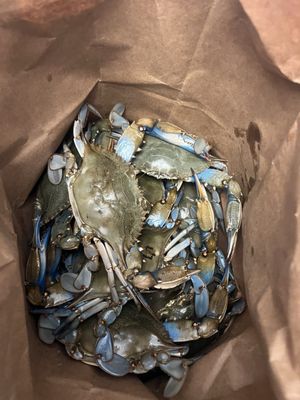 Nick's Crab Market by null