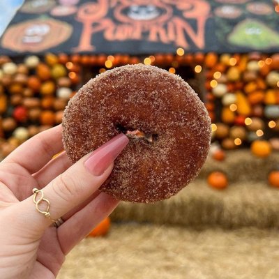Jack's Pumpkin Pop-up by null