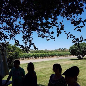 Rideau Vineyard - view of the vineyard - Wine Tasting Room Near Me - Solvang, California Rideau Vineyard - view of the vineyard - Wine Tasting Room Near Me - Solvang, California