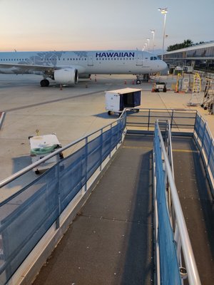 Hawaiian Airlines by null