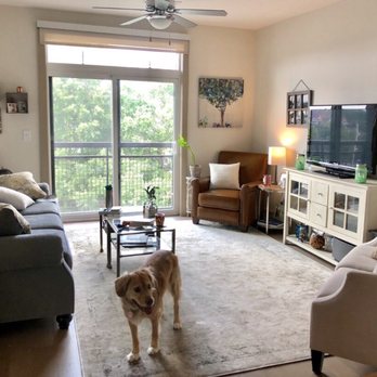 Camden Gallery Apartments - Apartments Near Me - Charlotte, North Carolina