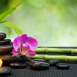 Elemental Energies Massage Reiki & Wellness Studio
