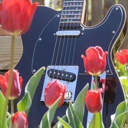 Brenna Method Guitar Studios - Play Every Color