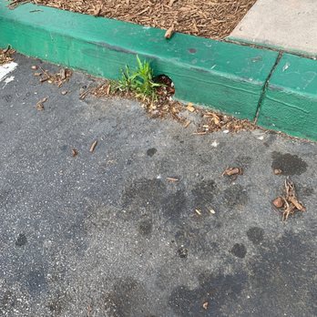 The Coffee Bean & Tea Leaf - Come for the parking spots or Robeks not the rude customer service! - Coffee & Tea Near Me - Ventura, California The Coffee Bean & Tea Leaf - Come for the parking spots or Robeks not the rude customer service! - Coffee & Tea Near Me - Ventura, California