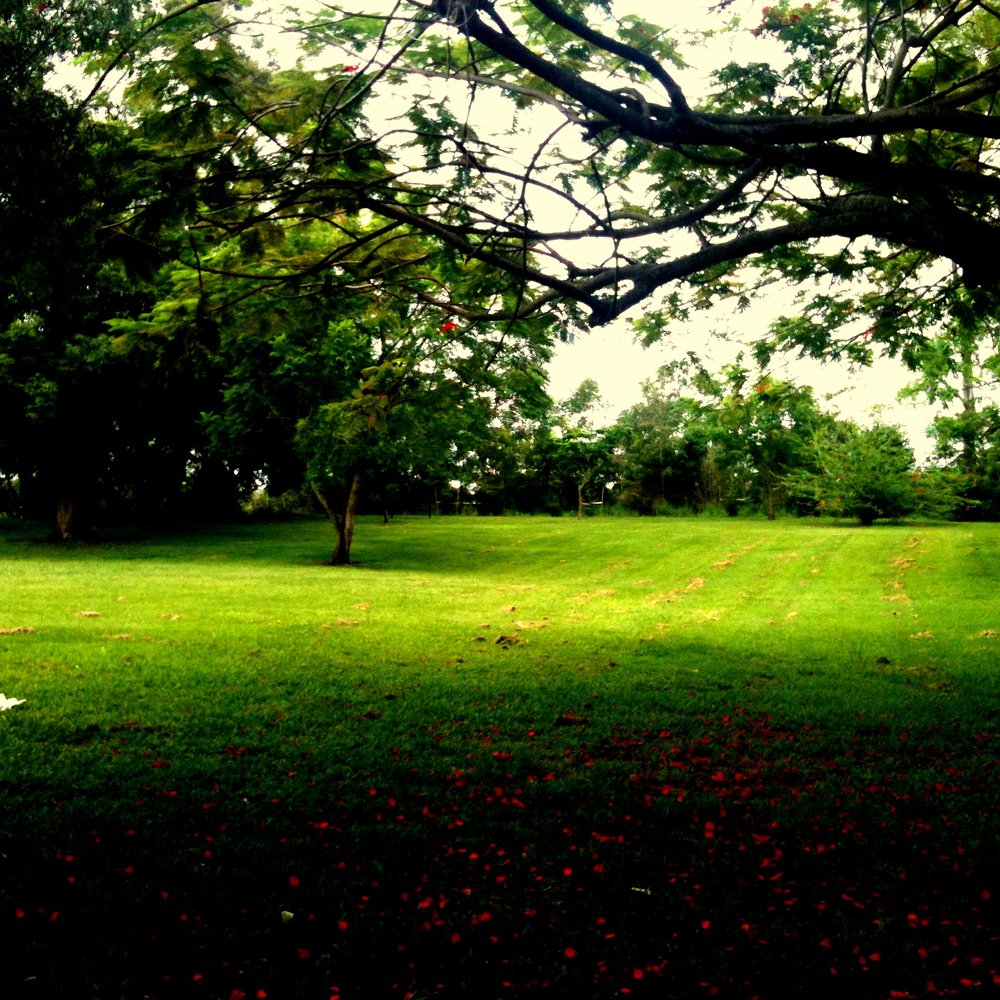 Guyatt Park - Playgrounds Near Me - St Lucia, QLD Guyatt Park - Playgrounds Near Me - St Lucia, QLD