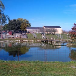 Dougherty Orchards - A view of the petting zoo.