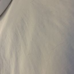 Hair on bed sheets from previous visitors