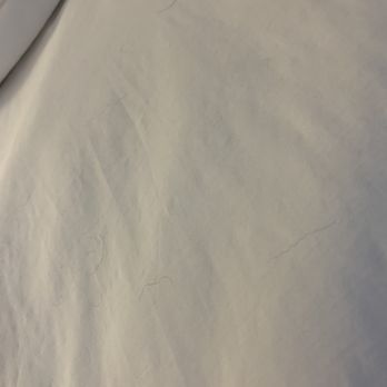 Fairfield by Marriott - Hair on bed sheets from previous visitors - Hotels Near Me - Watervliet, Michigan