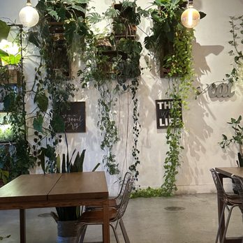 Leafy - Plants are life; literally. - Asian Fusion Near Me - Pembroke Pines, Florida Leafy - Plants are life; literally. - Asian Fusion Near Me - Pembroke Pines, Florida